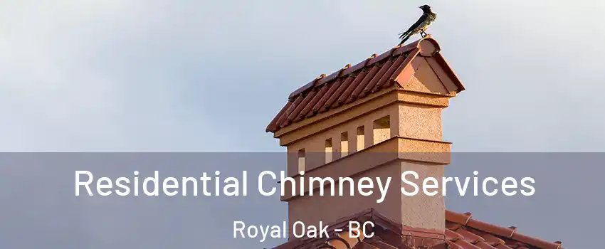  Residential Chimney Services Royal Oak - BC