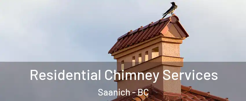 Residential Chimney Services Saanich - BC