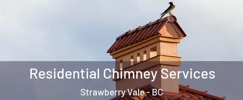  Residential Chimney Services Strawberry Vale - BC