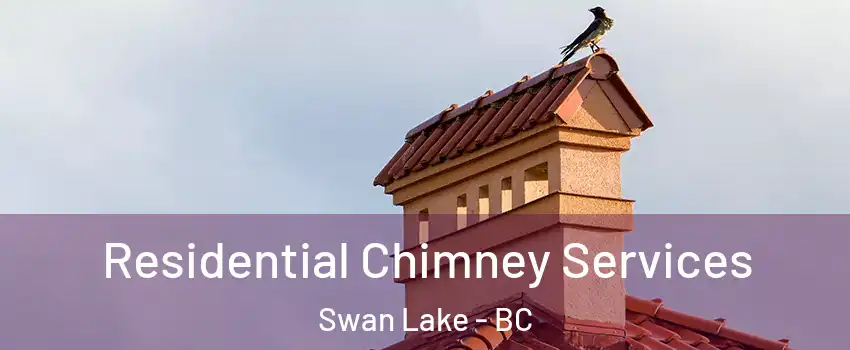 Residential Chimney Services Swan Lake - BC