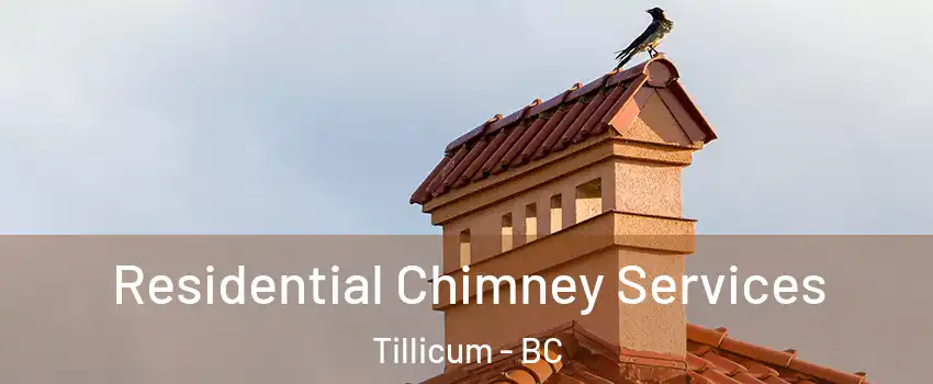  Residential Chimney Services Tillicum - BC