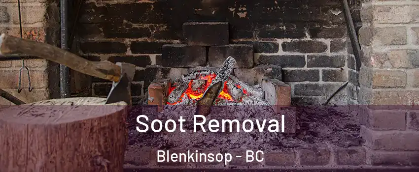  Soot Removal Blenkinsop - BC