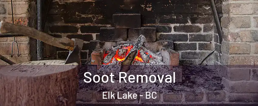  Soot Removal Elk Lake - BC