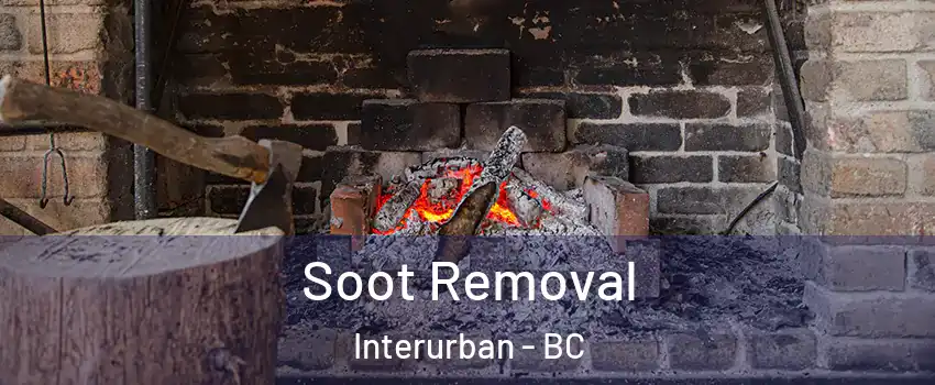  Soot Removal Interurban - BC