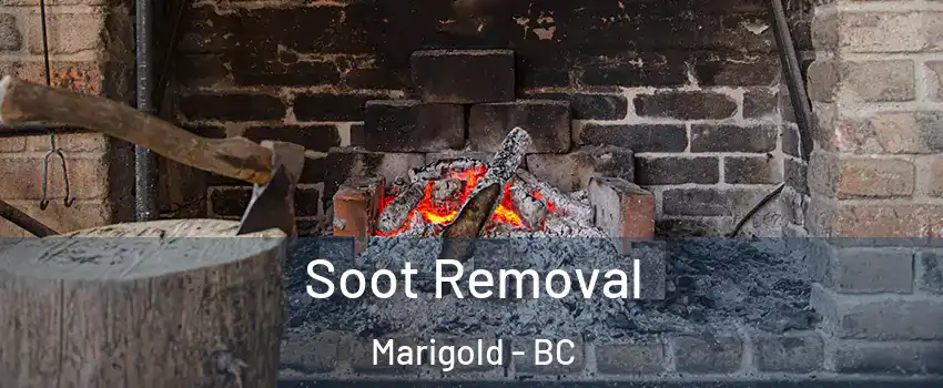  Soot Removal Marigold - BC