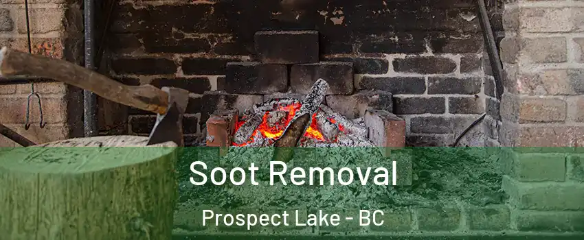  Soot Removal Prospect Lake - BC