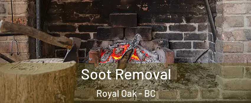  Soot Removal Royal Oak - BC