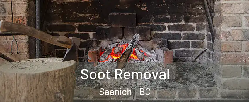  Soot Removal Saanich - BC