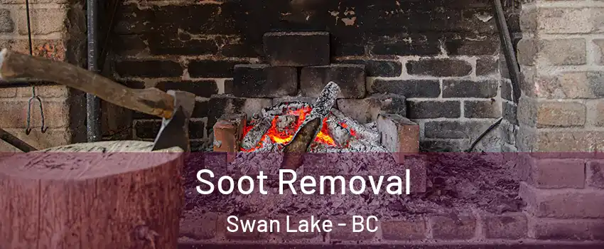  Soot Removal Swan Lake - BC