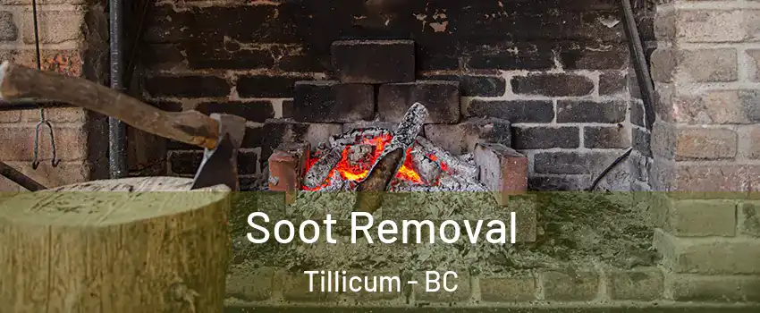  Soot Removal Tillicum - BC
