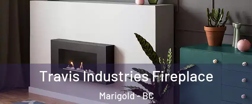  Travis Industries Fireplace Marigold - BC