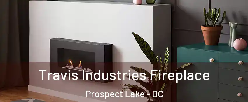 Travis Industries Fireplace Prospect Lake - BC
