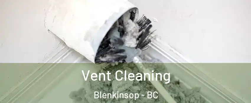  Vent Cleaning Blenkinsop - BC