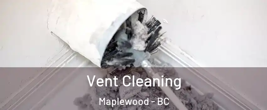  Vent Cleaning Maplewood - BC