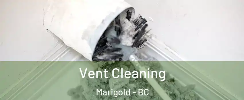 Vent Cleaning Marigold - BC