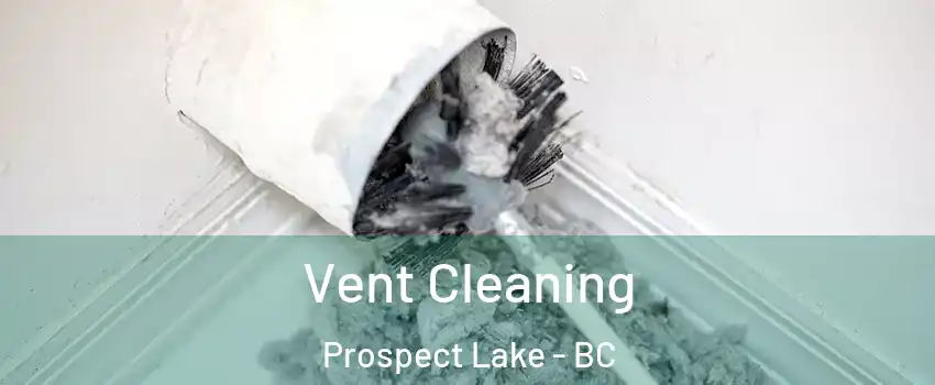  Vent Cleaning Prospect Lake - BC