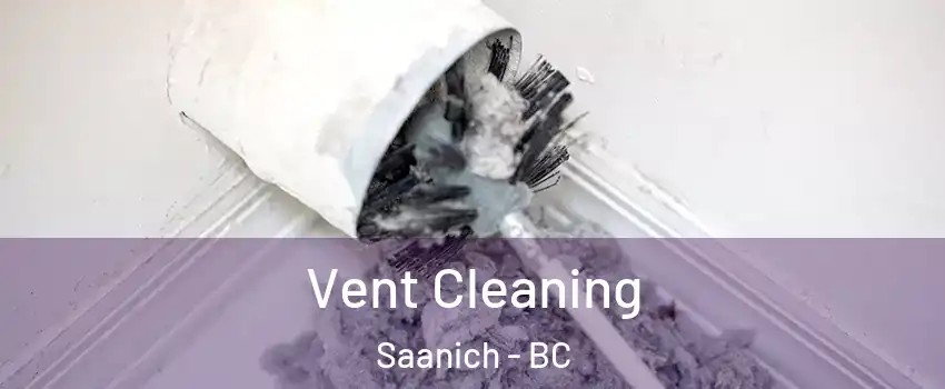 Vent Cleaning Saanich - BC