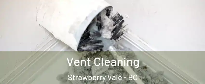 Vent Cleaning Strawberry Vale - BC