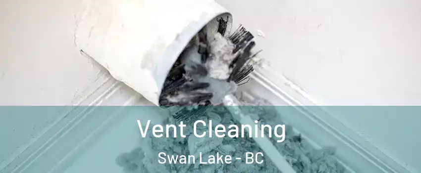 Vent Cleaning Swan Lake - BC