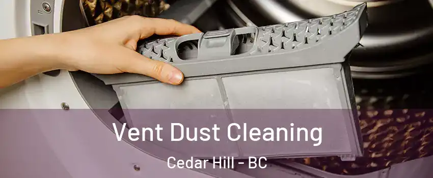  Vent Dust Cleaning Cedar Hill - BC