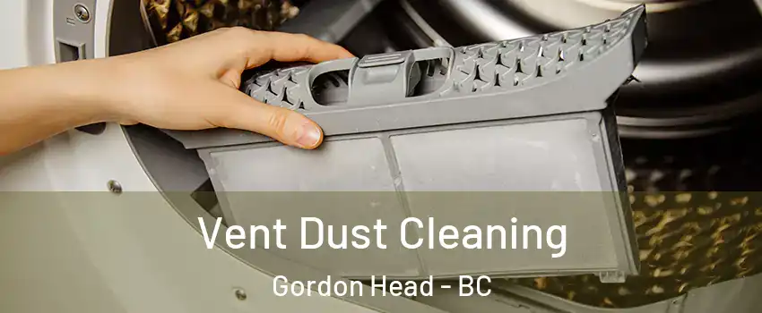  Vent Dust Cleaning Gordon Head - BC