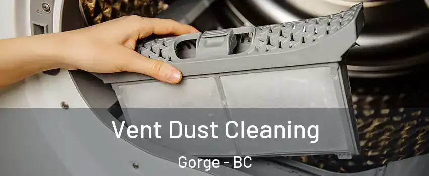  Vent Dust Cleaning Gorge - BC