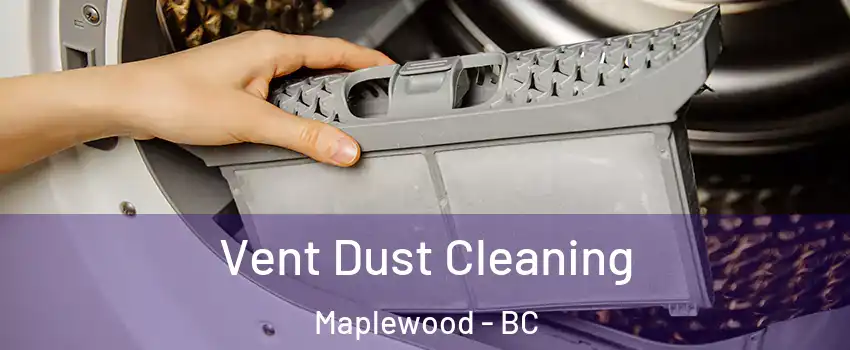  Vent Dust Cleaning Maplewood - BC