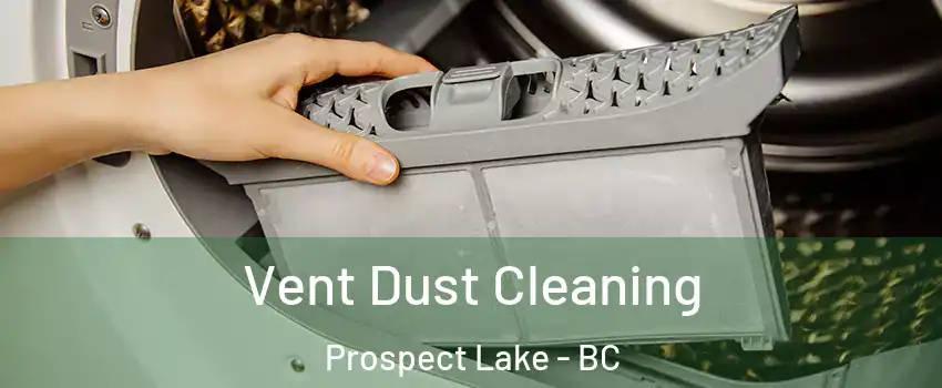  Vent Dust Cleaning Prospect Lake - BC