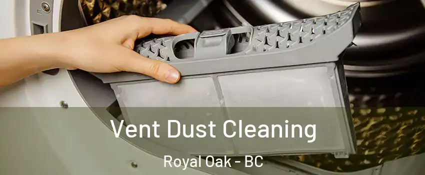  Vent Dust Cleaning Royal Oak - BC