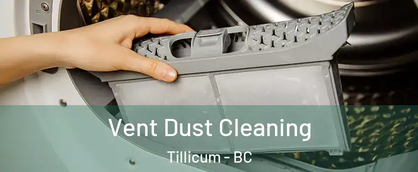  Vent Dust Cleaning Tillicum - BC