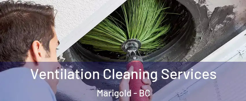 Ventilation Cleaning Services Marigold - BC