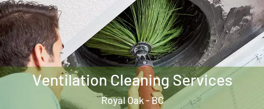 Ventilation Cleaning Services Royal Oak - BC