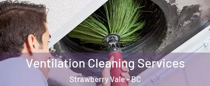 Ventilation Cleaning Services Strawberry Vale - BC