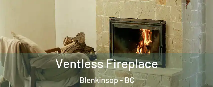  Ventless Fireplace Blenkinsop - BC