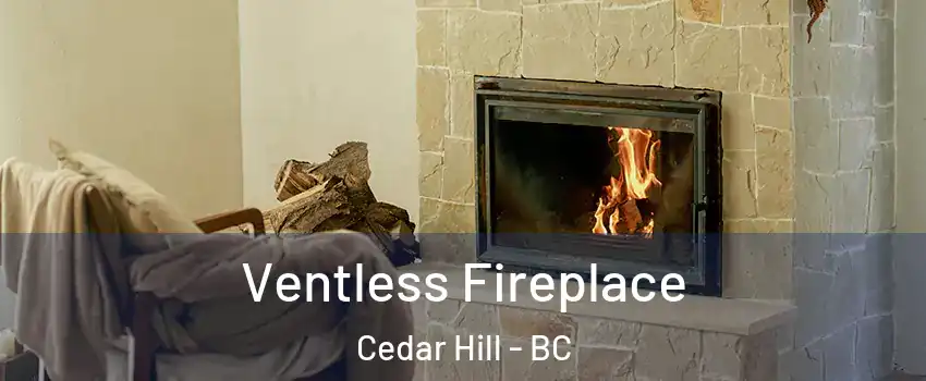  Ventless Fireplace Cedar Hill - BC
