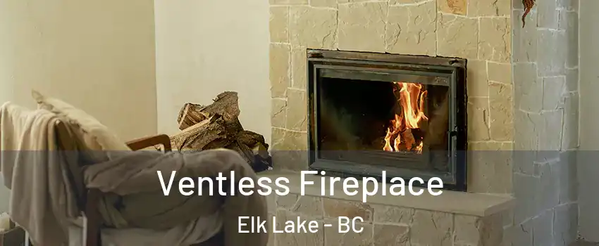 Ventless Fireplace Elk Lake - BC