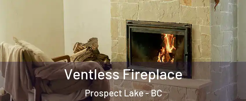  Ventless Fireplace Prospect Lake - BC