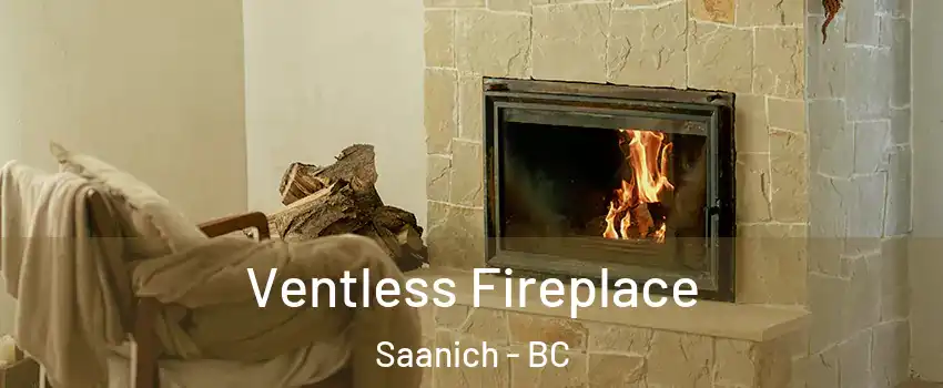  Ventless Fireplace Saanich - BC