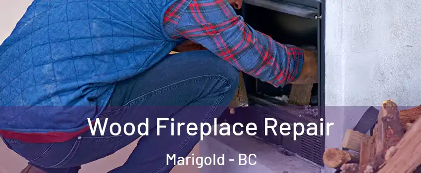  Wood Fireplace Repair Marigold - BC