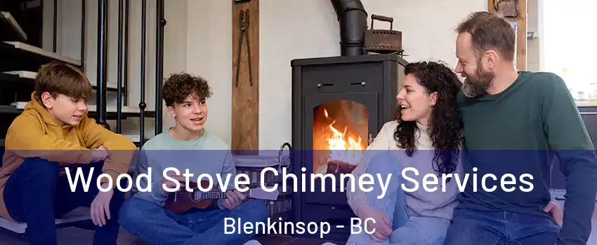  Wood Stove Chimney Services Blenkinsop - BC