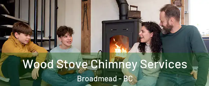 Wood Stove Chimney Services Broadmead - BC