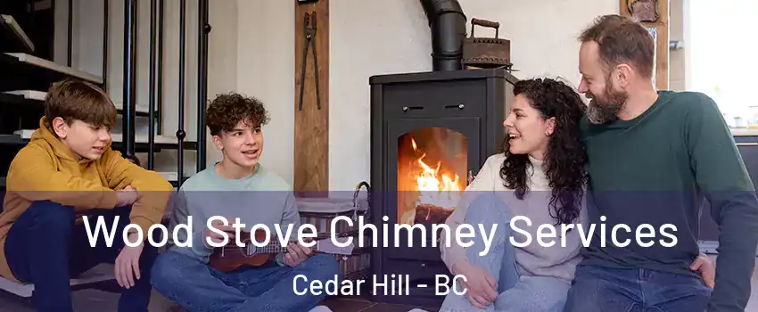 Wood Stove Chimney Services Cedar Hill - BC