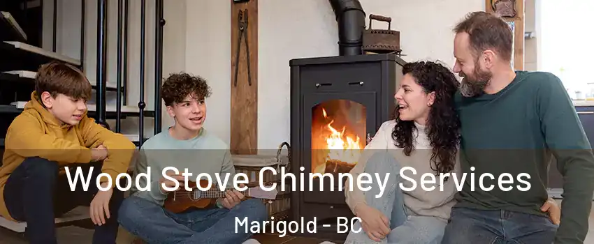  Wood Stove Chimney Services Marigold - BC