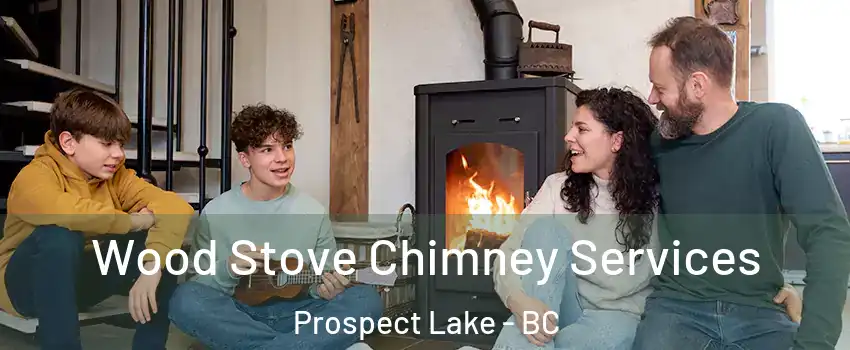  Wood Stove Chimney Services Prospect Lake - BC