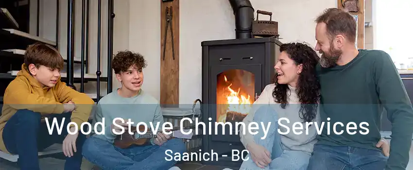  Wood Stove Chimney Services Saanich - BC