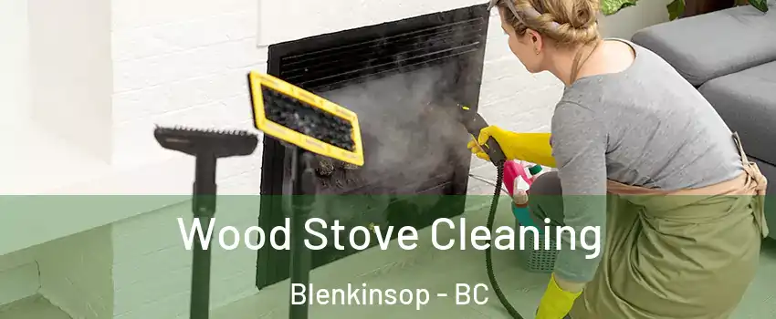  Wood Stove Cleaning Blenkinsop - BC