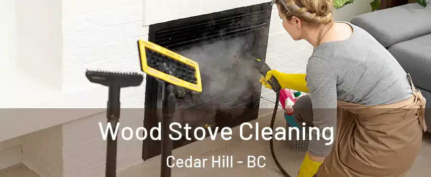 Wood Stove Cleaning Cedar Hill - BC