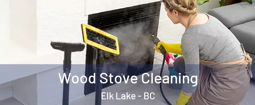  Wood Stove Cleaning Elk Lake - BC
