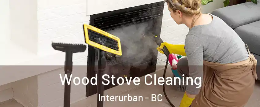  Wood Stove Cleaning Interurban - BC