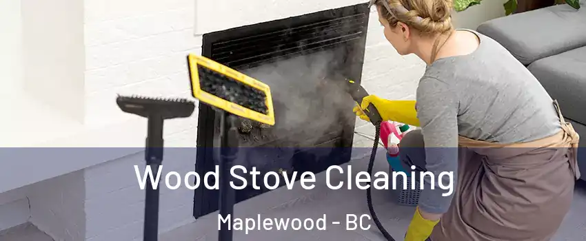  Wood Stove Cleaning Maplewood - BC